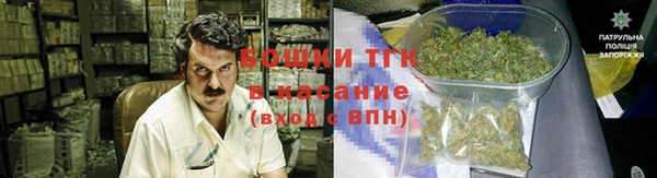 гашик Алексеевка