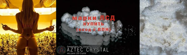 эйфоретик Алзамай