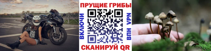 Галлюциногенные грибы MAGIC MUSHROOMS  МЕГА сайт  Павловская  наркотики 