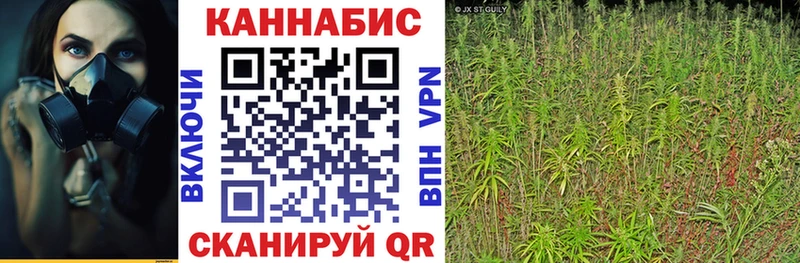 KRAKEN   купить   Павловская  Конопля Ganja 